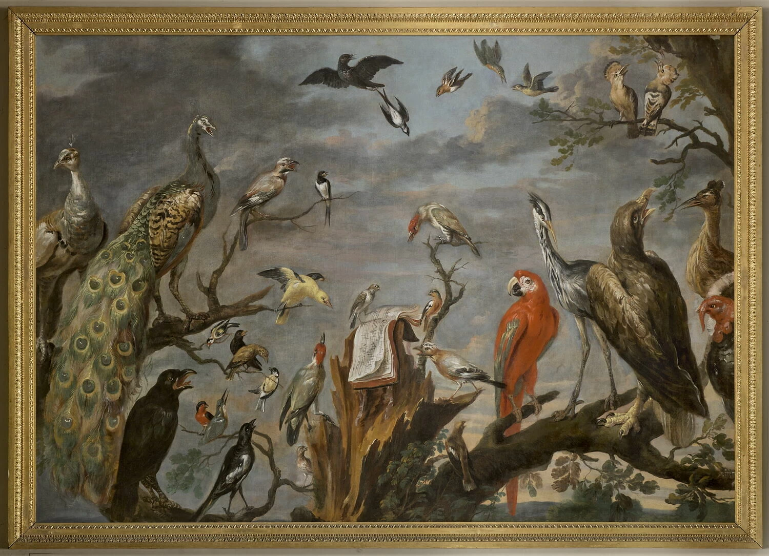 Concerto di uccelli - Louvre, Parigi